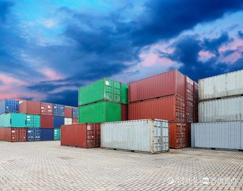 东营经济技术开发区开展进口高风险非冷链集装箱疫情防控